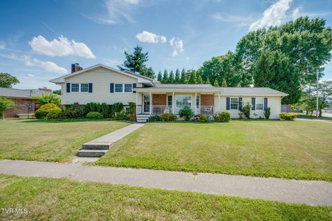 Photo of 1801 Hermitage Drive, Kingsport, TN 37664 (MLS # 9995840)