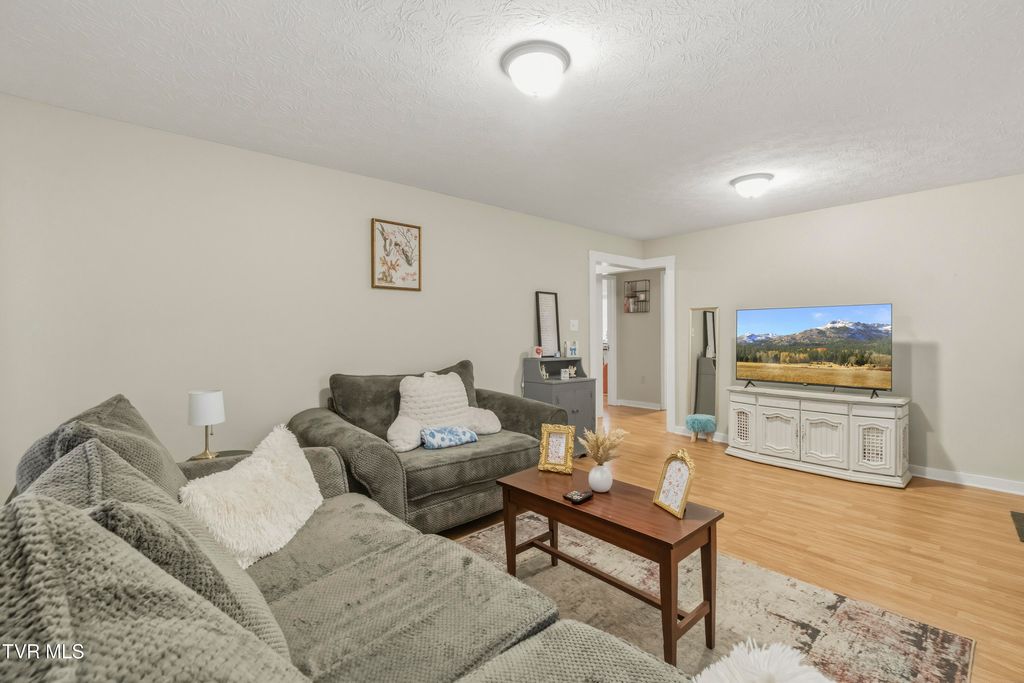 Photo of 501 Mckee Street, Greeneville, TN 37743 (MLS # 9993944)