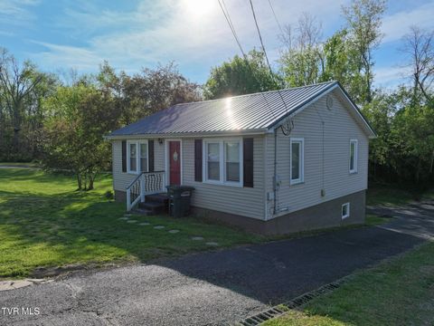 Photo of 501 Mckee Street, Greeneville, TN 37743 (MLS # 9993944)