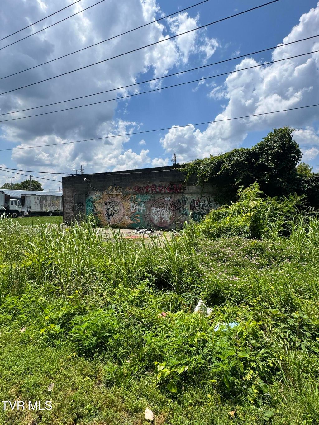 Photo of 1018 Martin Luther King Jr. Drive, Kingsport, TN 37660 (MLS # 9982096)