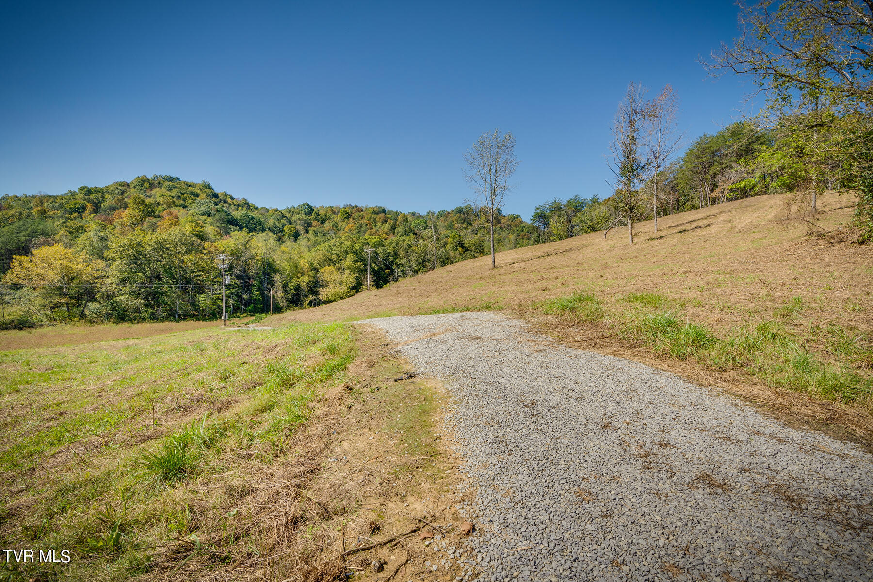 Tbd Flower Gap Road, Blackwater, Virginia image 1
