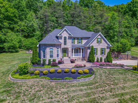 Photo of 2823 Van Hill Road, Greeneville, TN 37745 (MLS # 9995522)