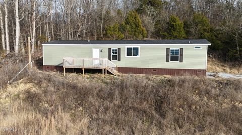 Photo of 2105 Flea Ridge Road, Mohawk, TN 37810 (MLS # 9990123)