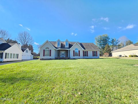 Photo of 212 Chatham Road, Bristol, TN 37620 (MLS # 9988752)