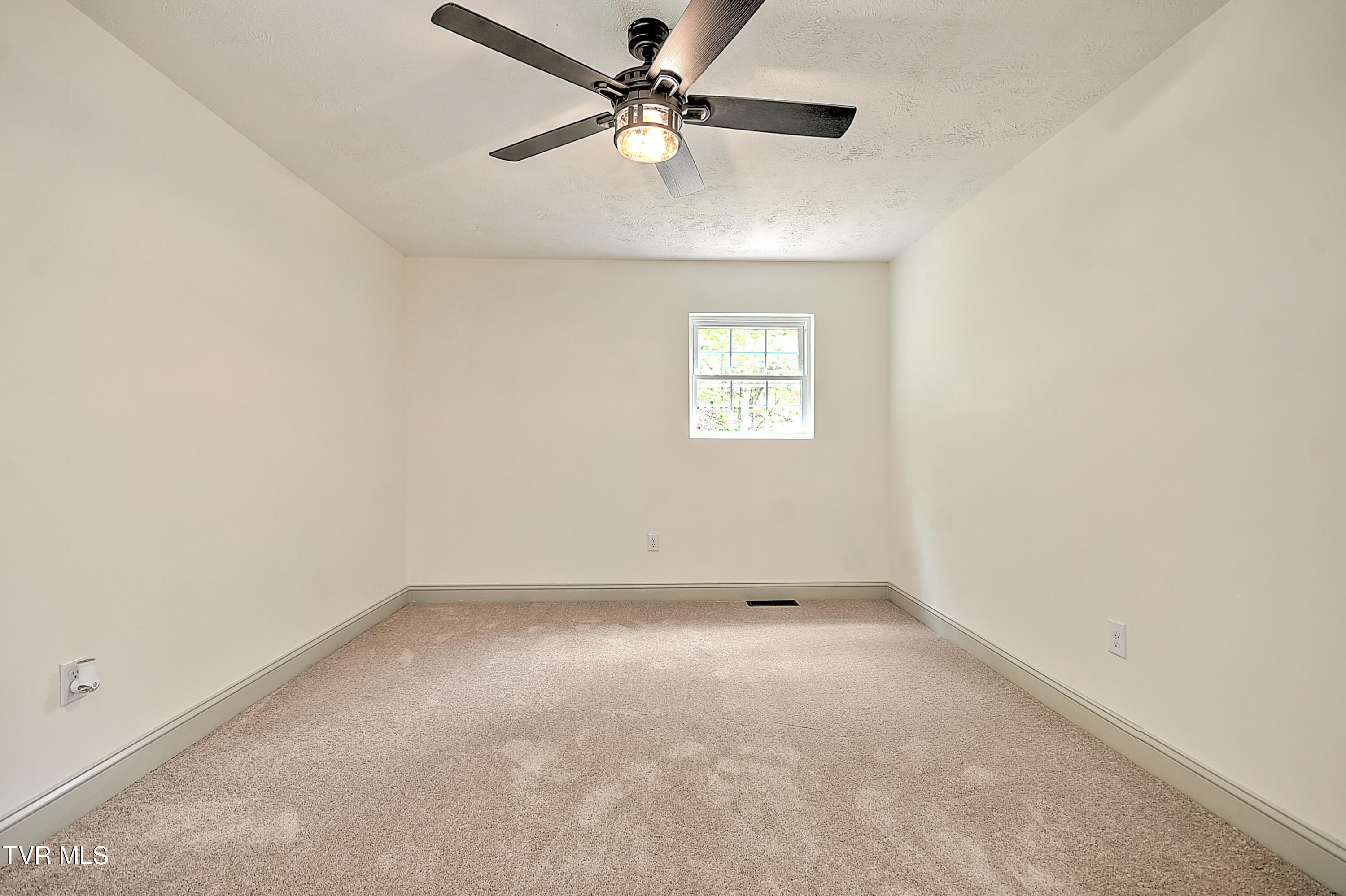 1081 Big Hollow Road, Blountville, Tennessee image 26