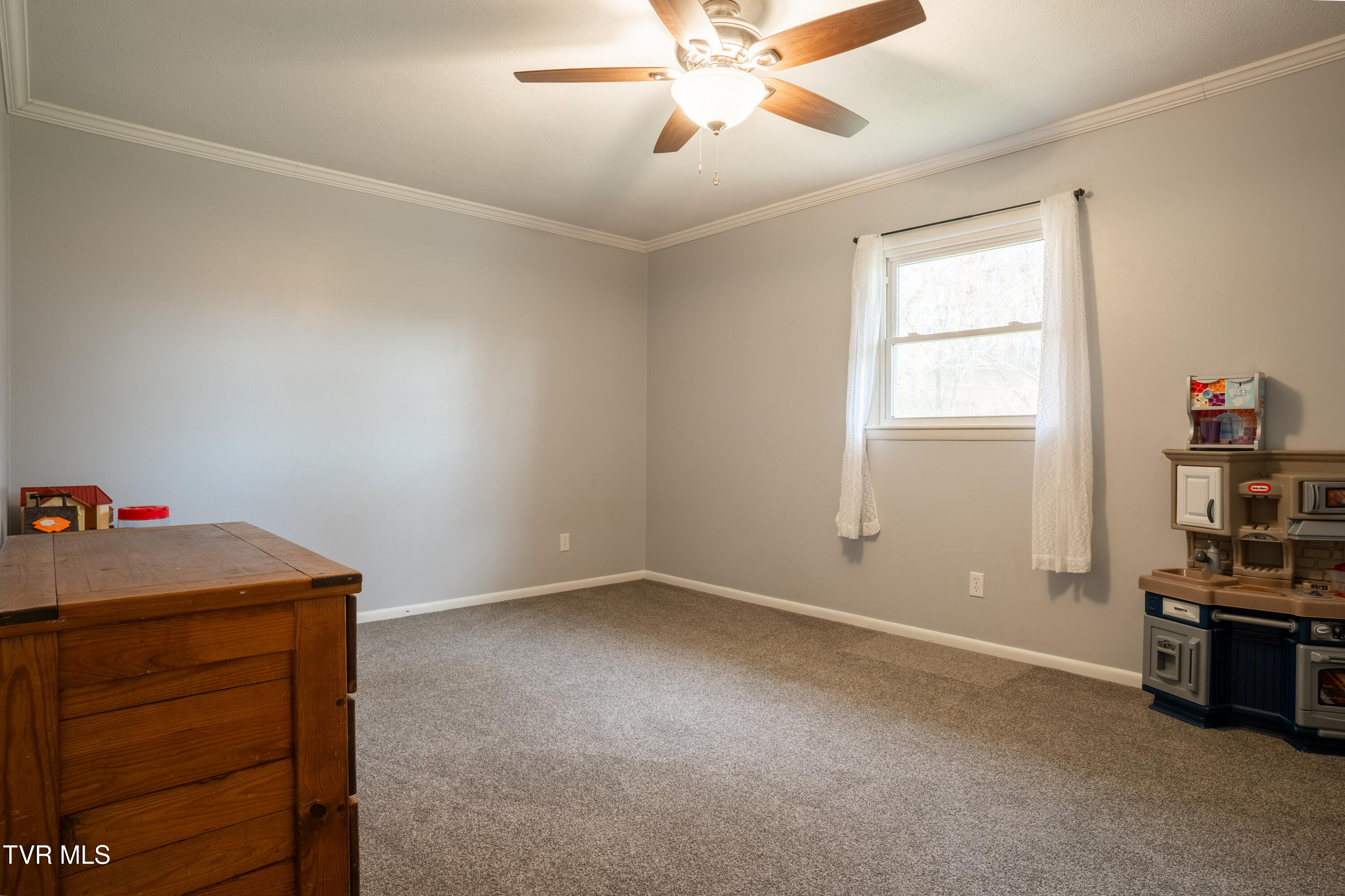 435 Shawnee Drive, Bluff City, Tennessee image 18