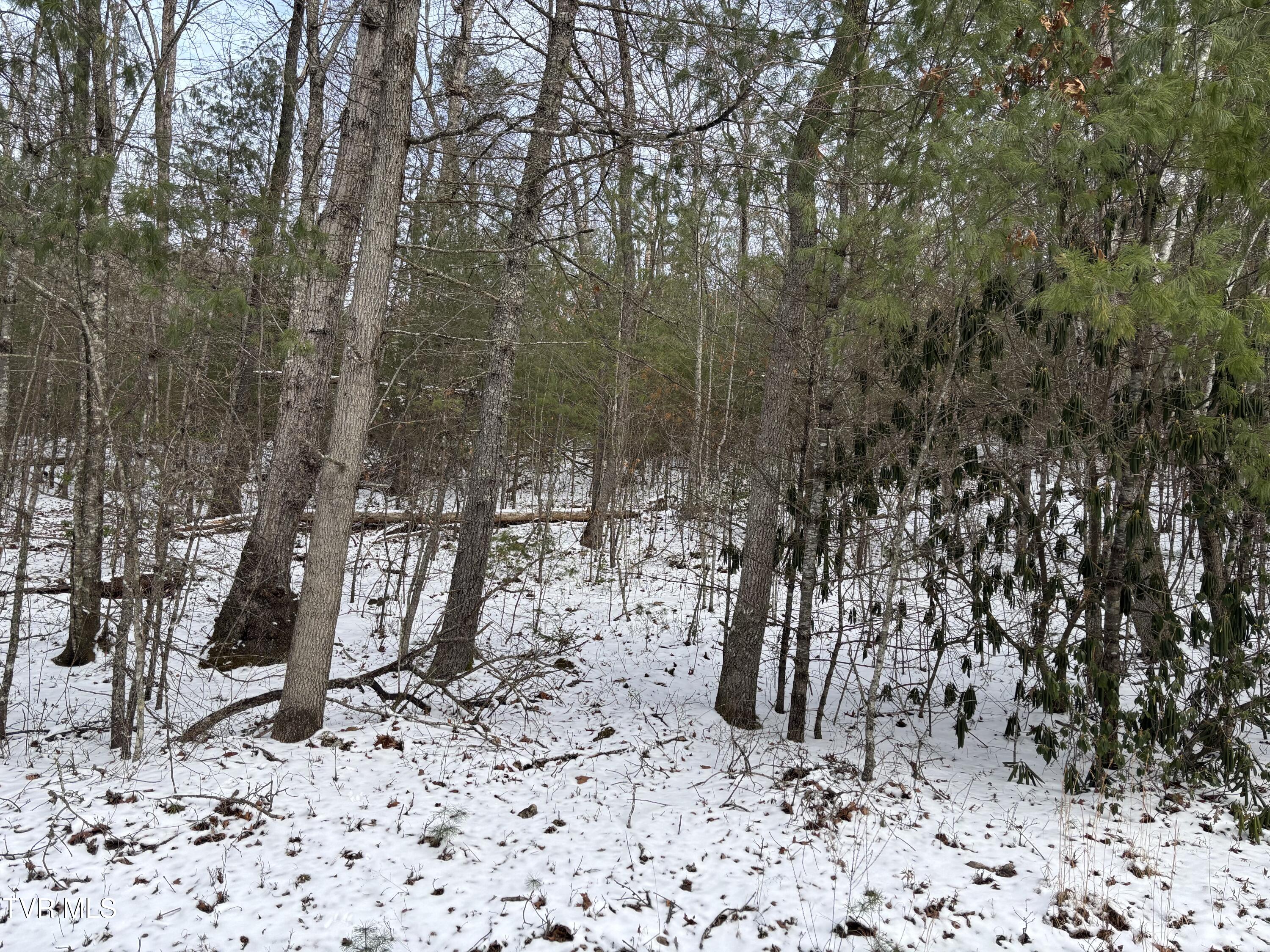 6b2 Of Roan Creek Road, Butler, Tennessee image 5