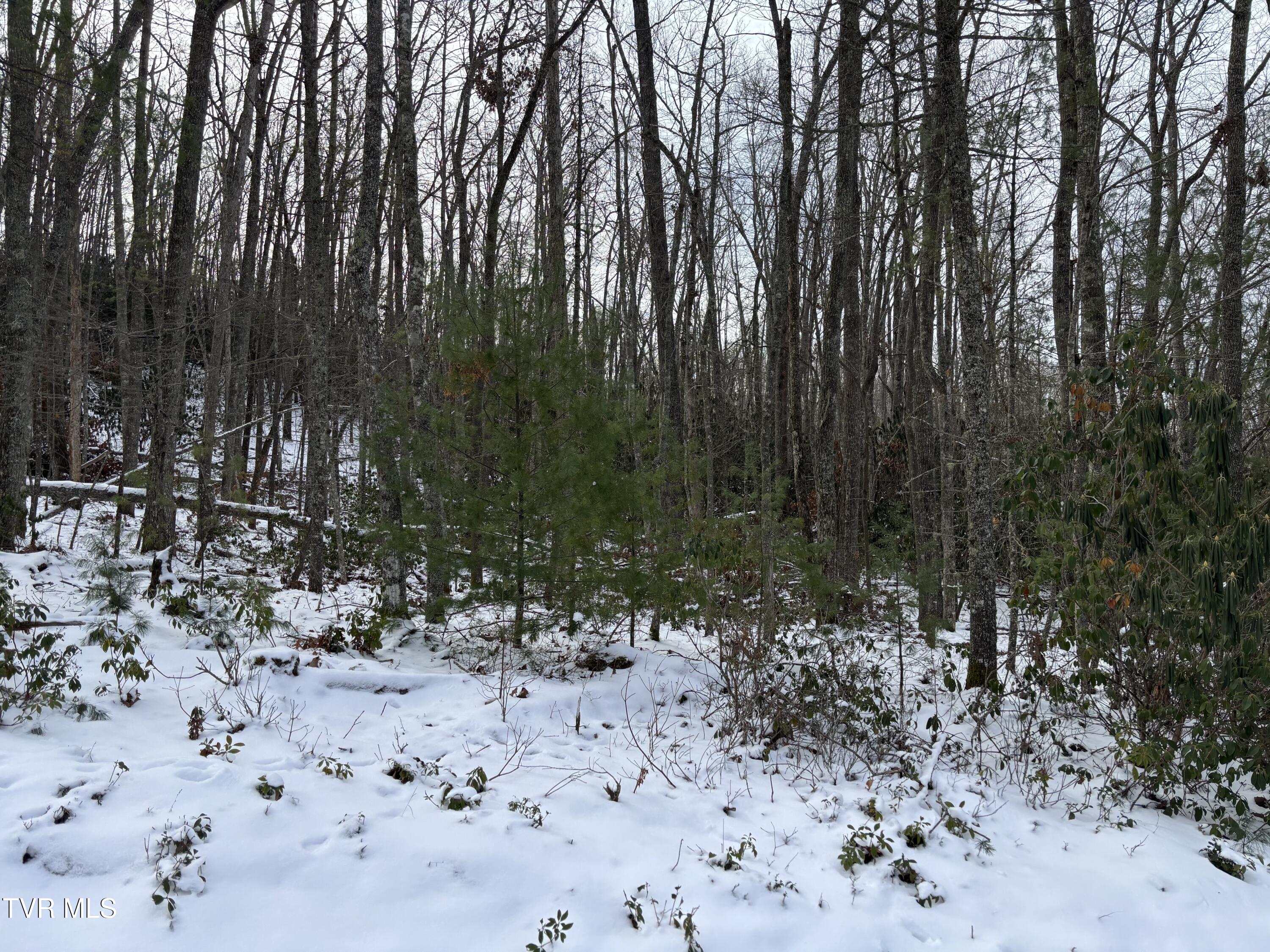 6b2 Of Roan Creek Road, Butler, Tennessee image 3