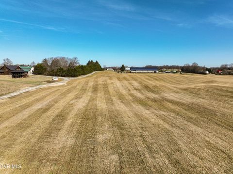 Vacant Land For Sale - TBD Old State Route 34<br/> Limestone, TN 37681
