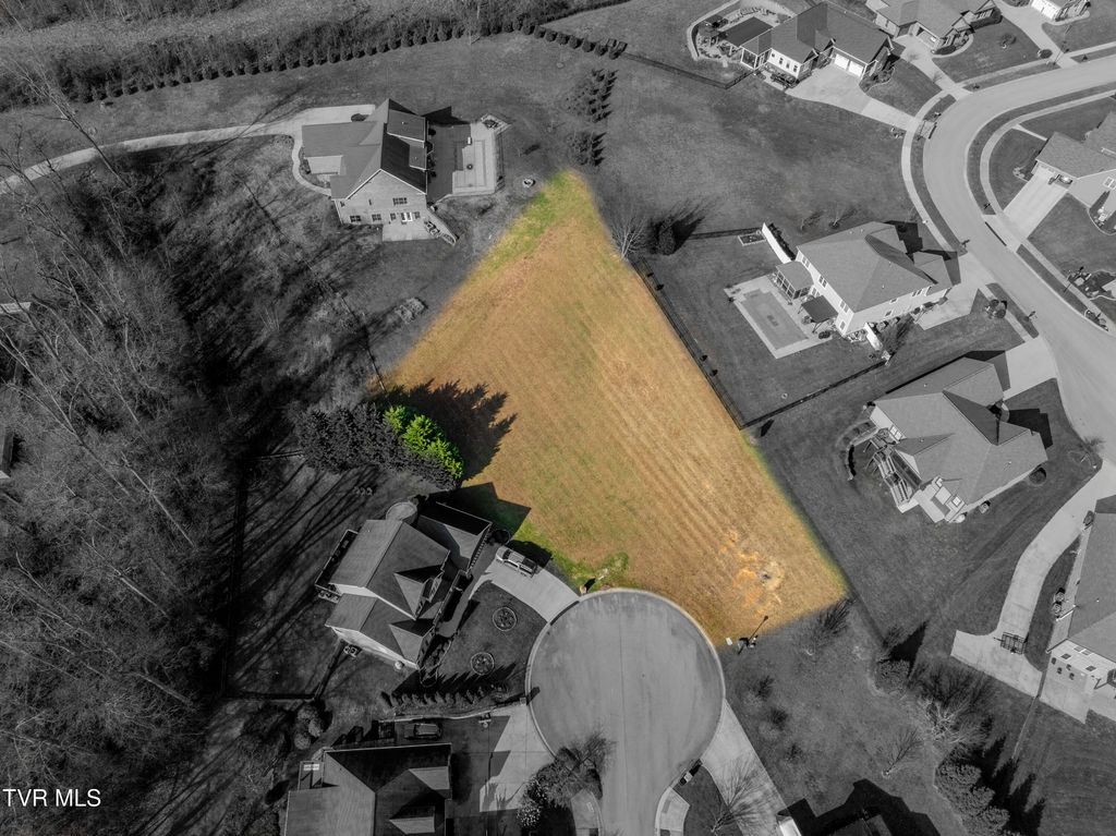 Photo of Tbd Mia Gracie Court, Johnson City, TN 37615 (MLS # 9988854)