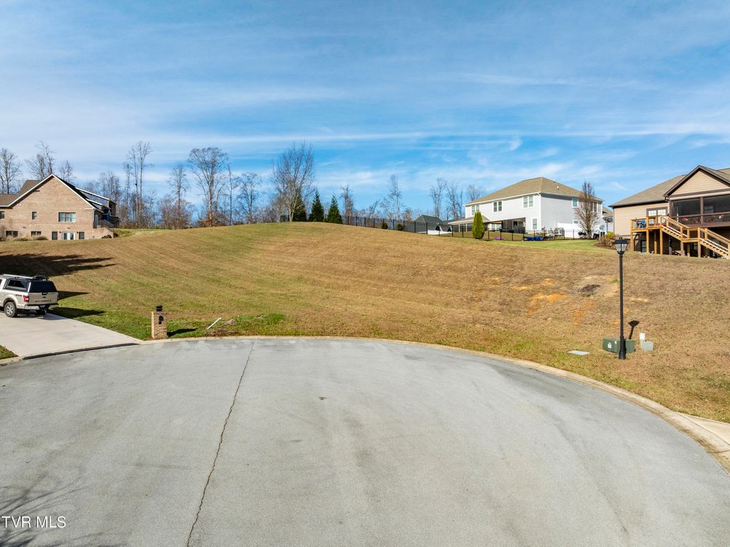 Photo of Tbd Mia Gracie Court, Johnson City, TN 37615 (MLS # 9988854)