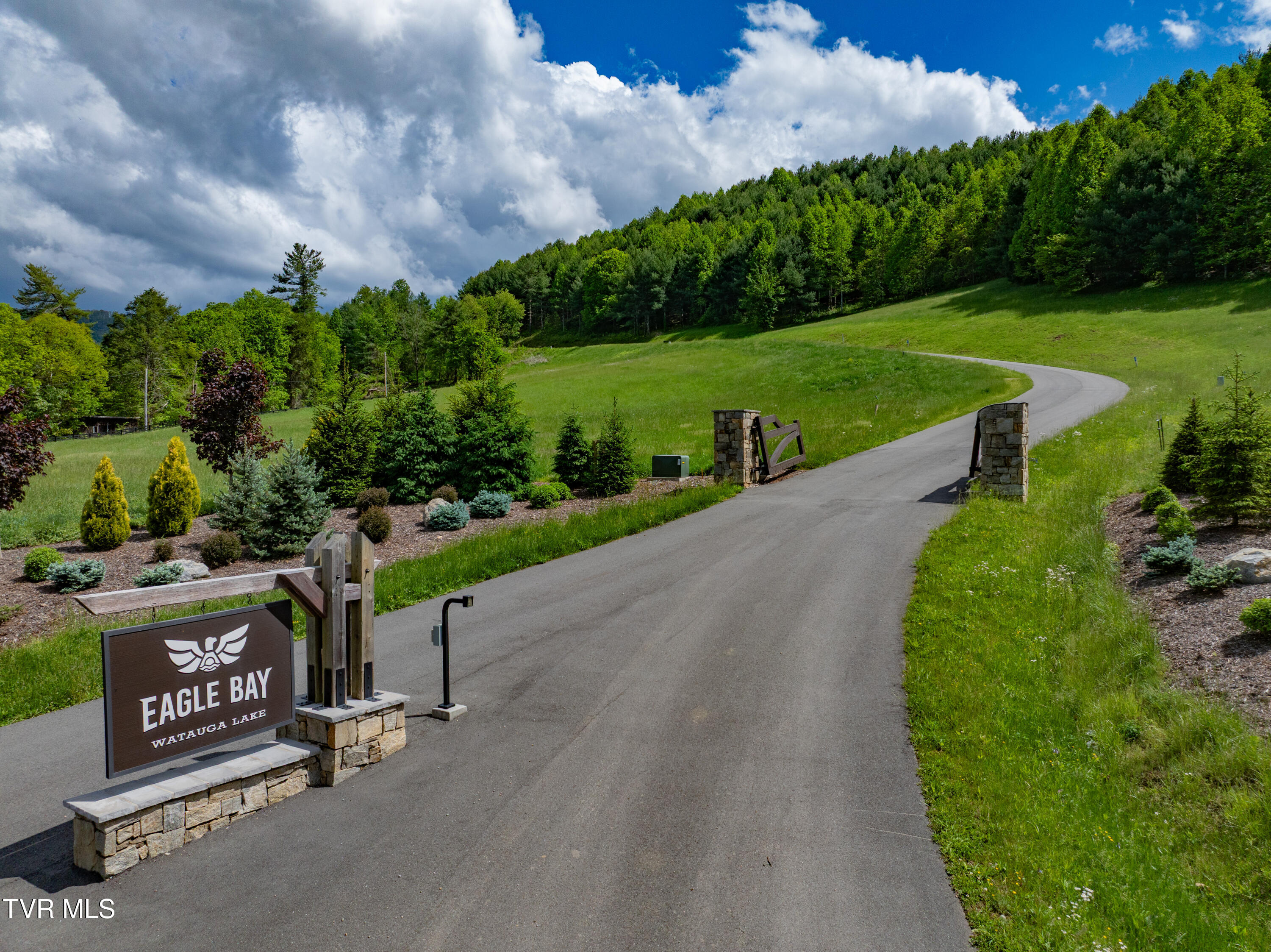 Lot 25 Cowan Town Road, Butler, Tennessee image 6