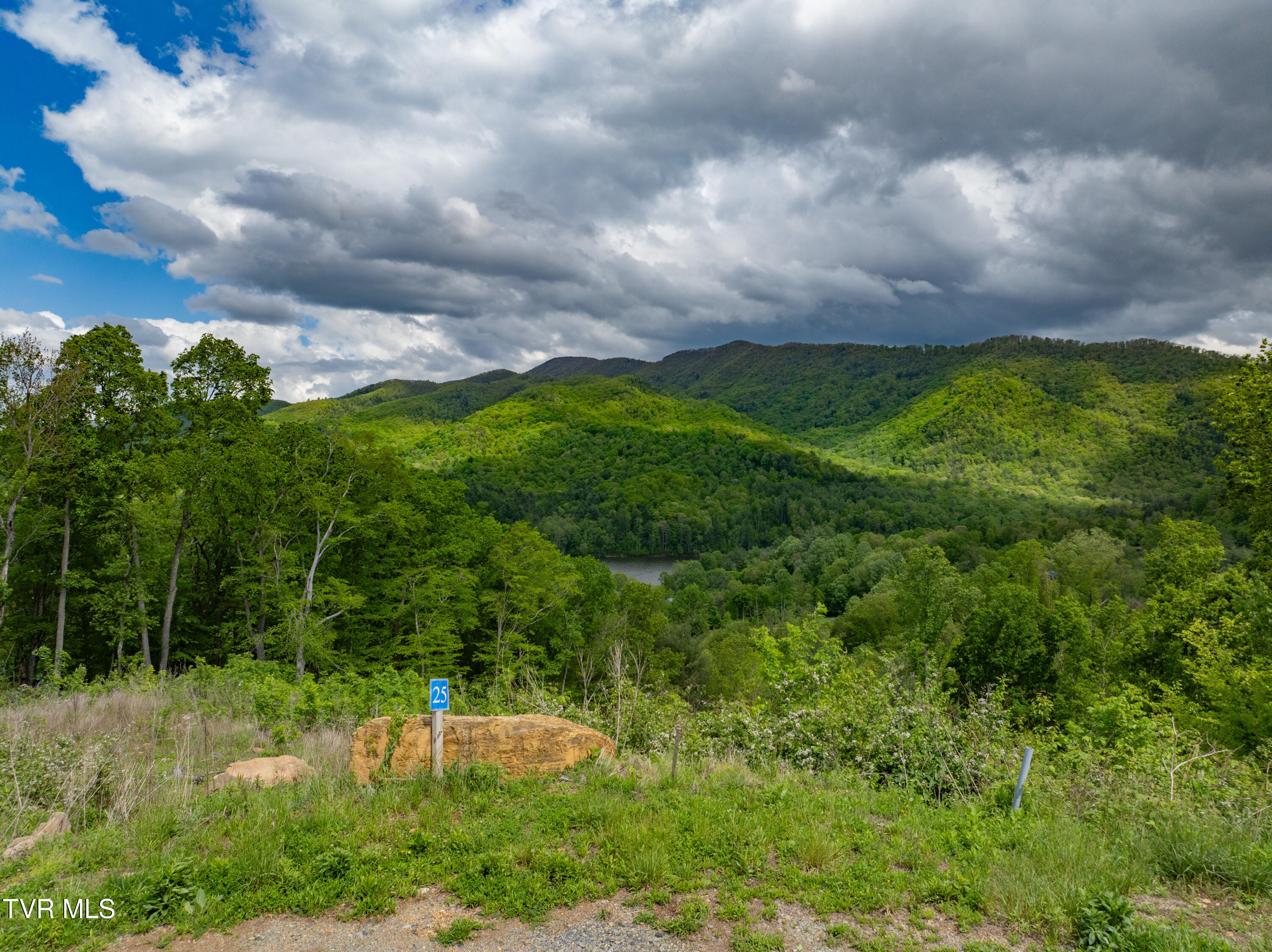 Lot 25 Cowan Town Road, Butler, Tennessee image 4