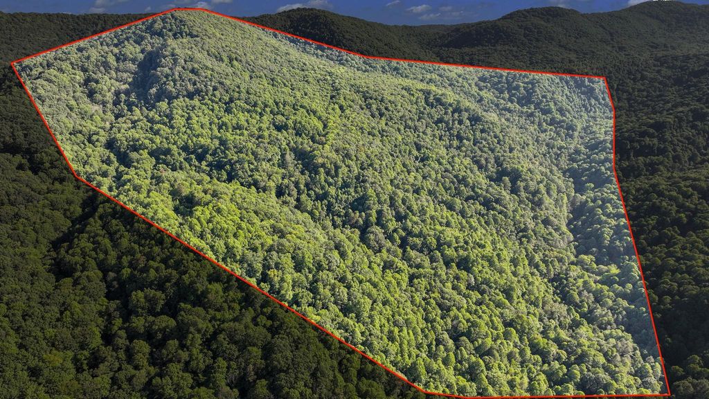 Photo of Tbd Nettle Patch, Norton, VA 24273 (MLS # 9956385)