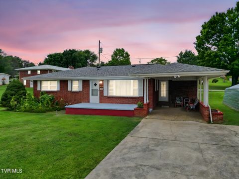 Photo of 390 Main Street, Mosheim, TN 37818 (MLS # 9988460)