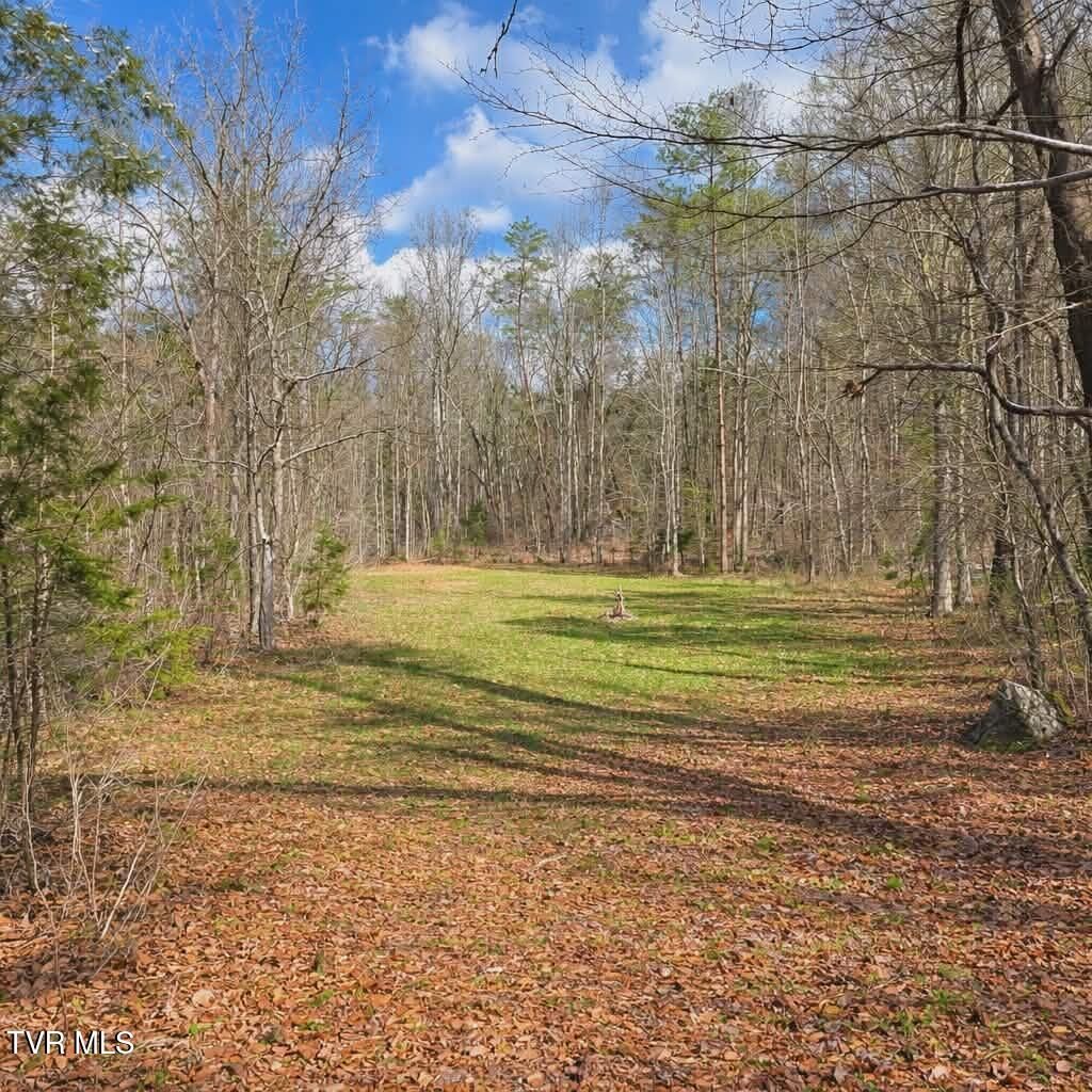 Photo of 000 Byrd Creek, Sneedville, TN 37869 (MLS # 9992516)