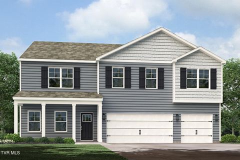 15 Morsel Court Johnson City TN 37615