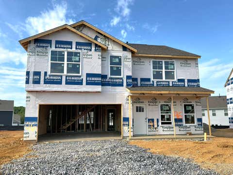Homes For Sale - 15 Morsel Court Ct<br/> Washington County County, Johnson City, TN 37615