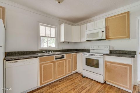 Tiny photo for 400 Cherokee Street, Jonesborough, TN 37659 (MLS # 9986321)