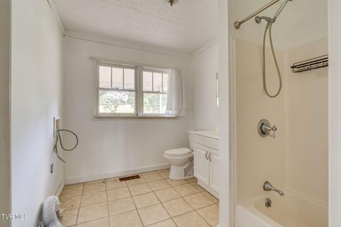 Tiny photo for 400 Cherokee Street, Jonesborough, TN 37659 (MLS # 9986321)