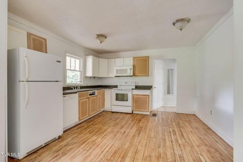 Tiny photo for 400 Cherokee Street, Jonesborough, TN 37659 (MLS # 9986321)
