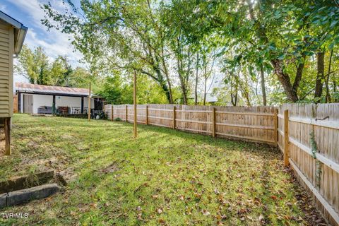 Tiny photo for 400 Cherokee Street, Jonesborough, TN 37659 (MLS # 9986321)