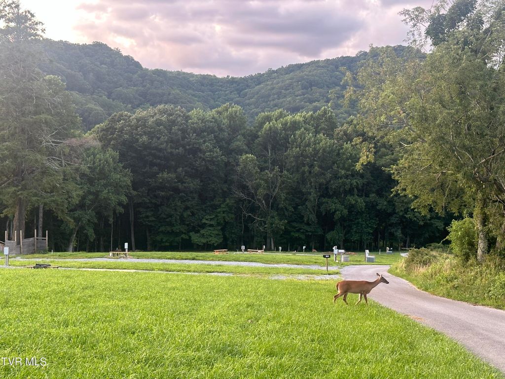 Photo of 137 Dyer Road, Roan Mountain, TN 37687 (MLS # 9990976)