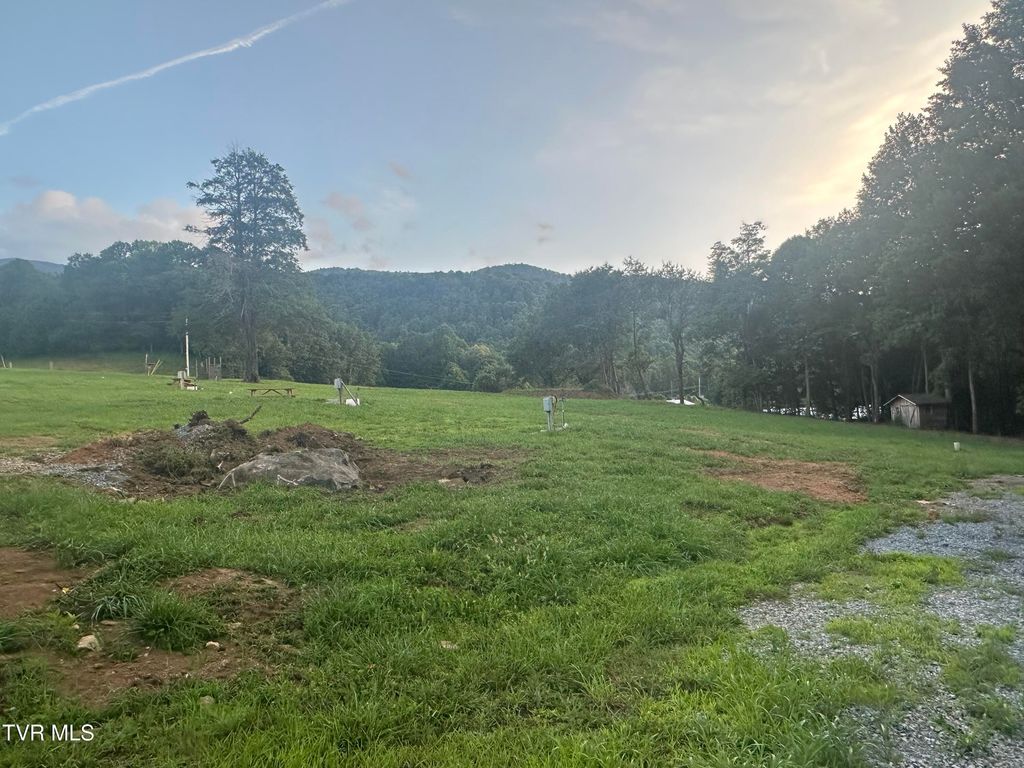 Photo of 137 Dyer Road, Roan Mountain, TN 37687 (MLS # 9990976)