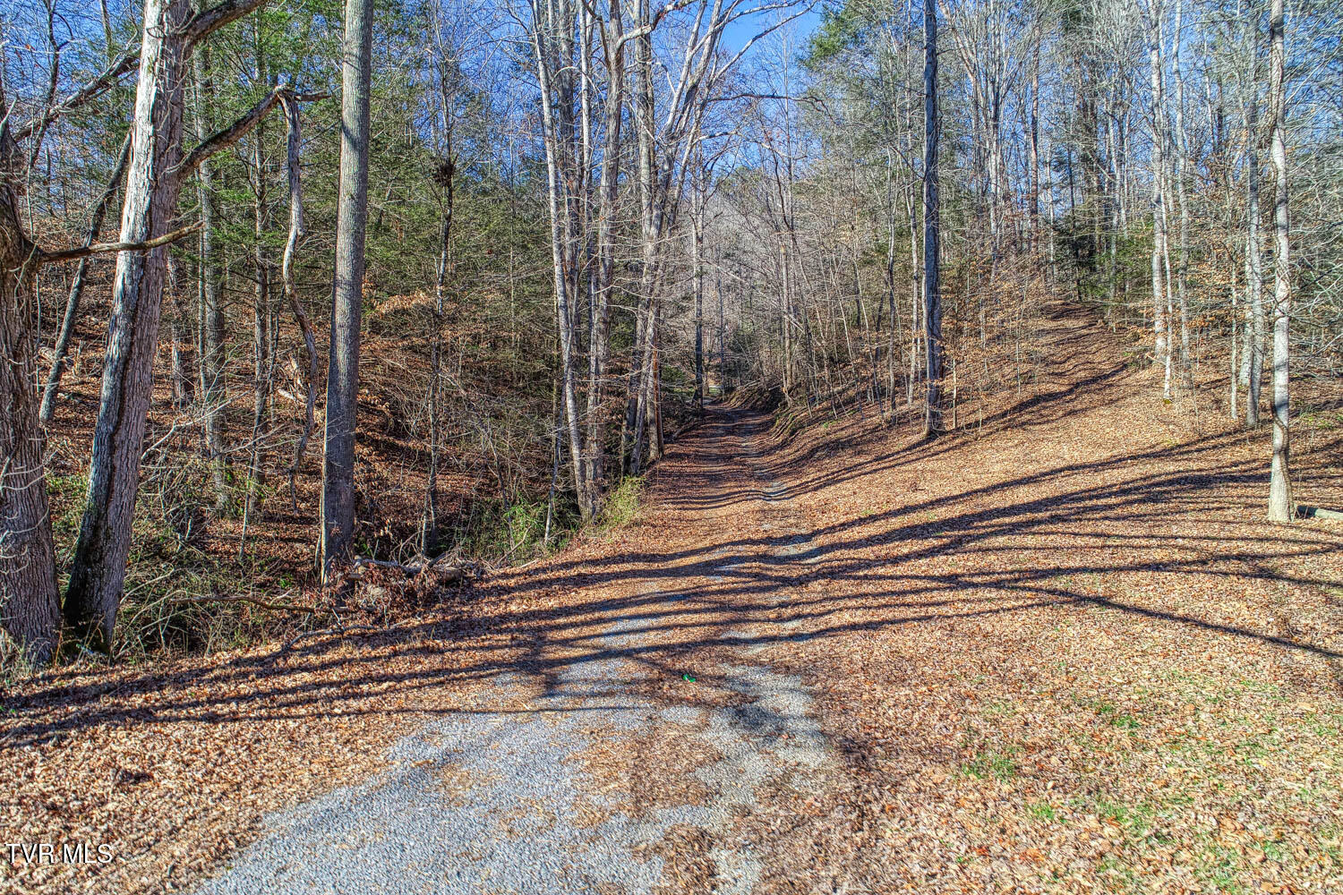 1329 Pressmens Home Road, Rogersville, Tennessee image 8