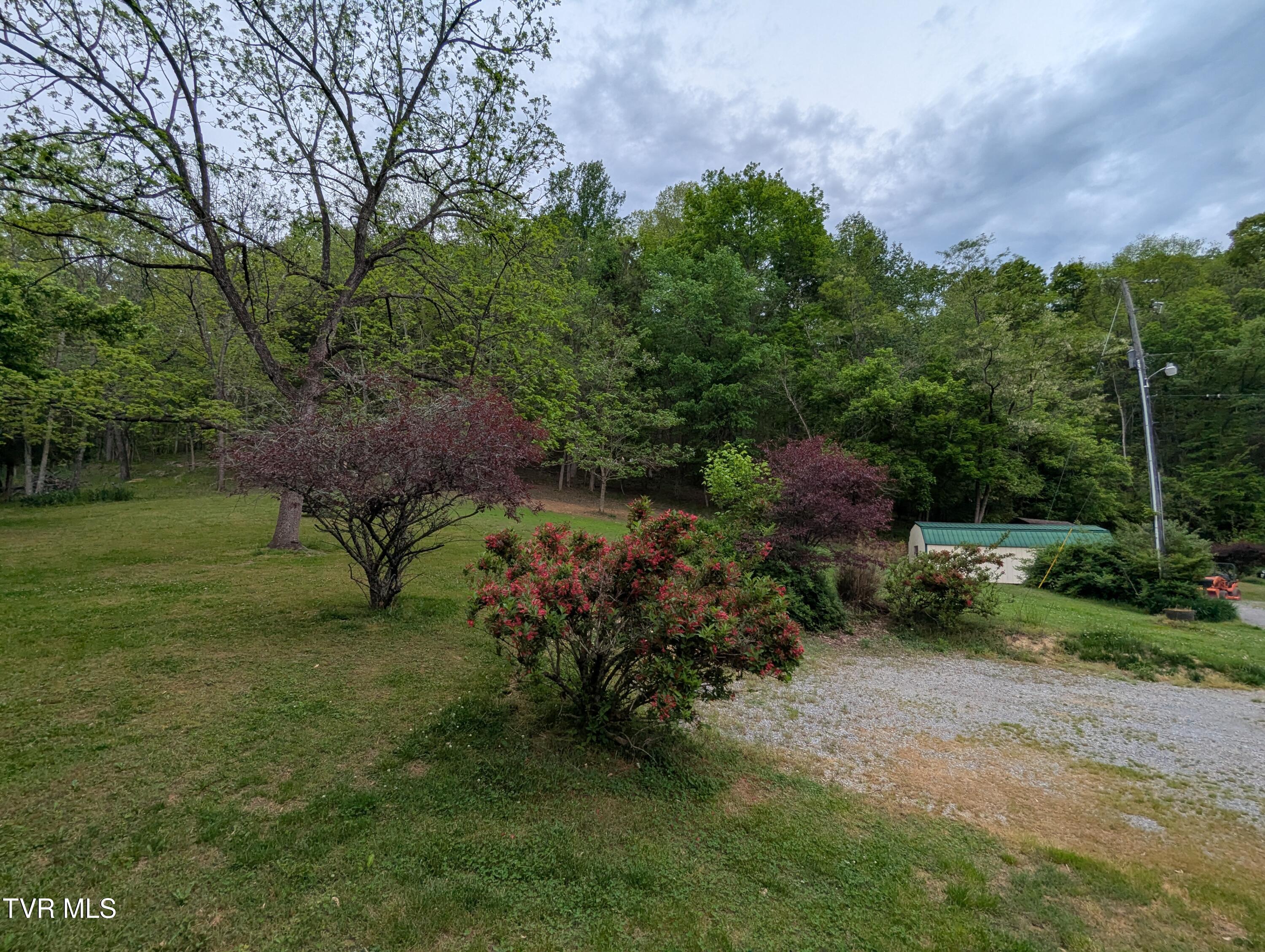 253 Duck Drive, Gate City, Virginia image 5