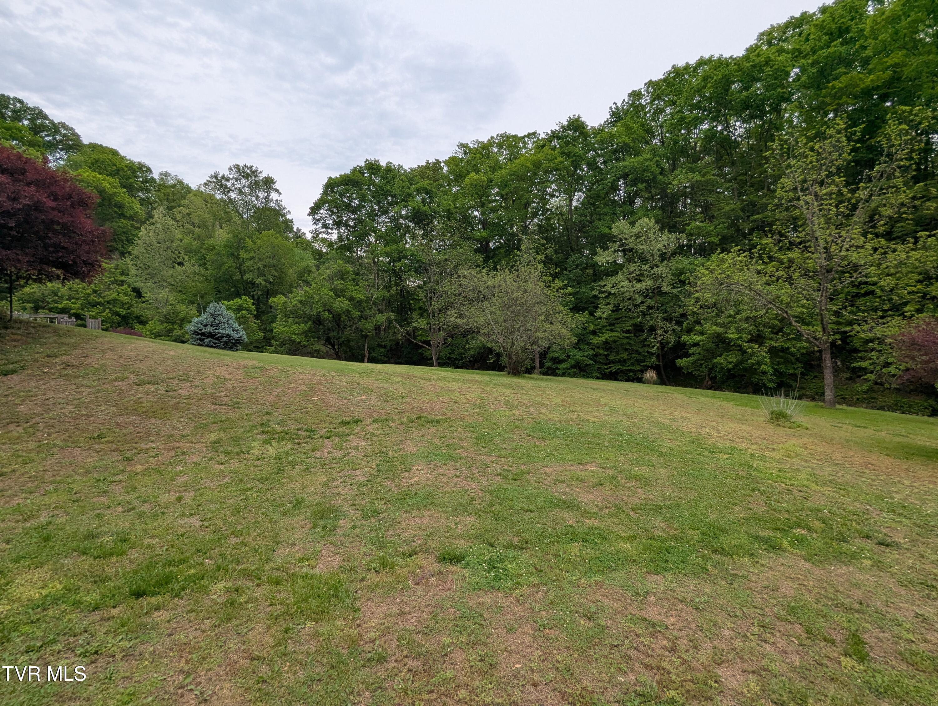 253 Duck Drive, Gate City, Virginia image 9