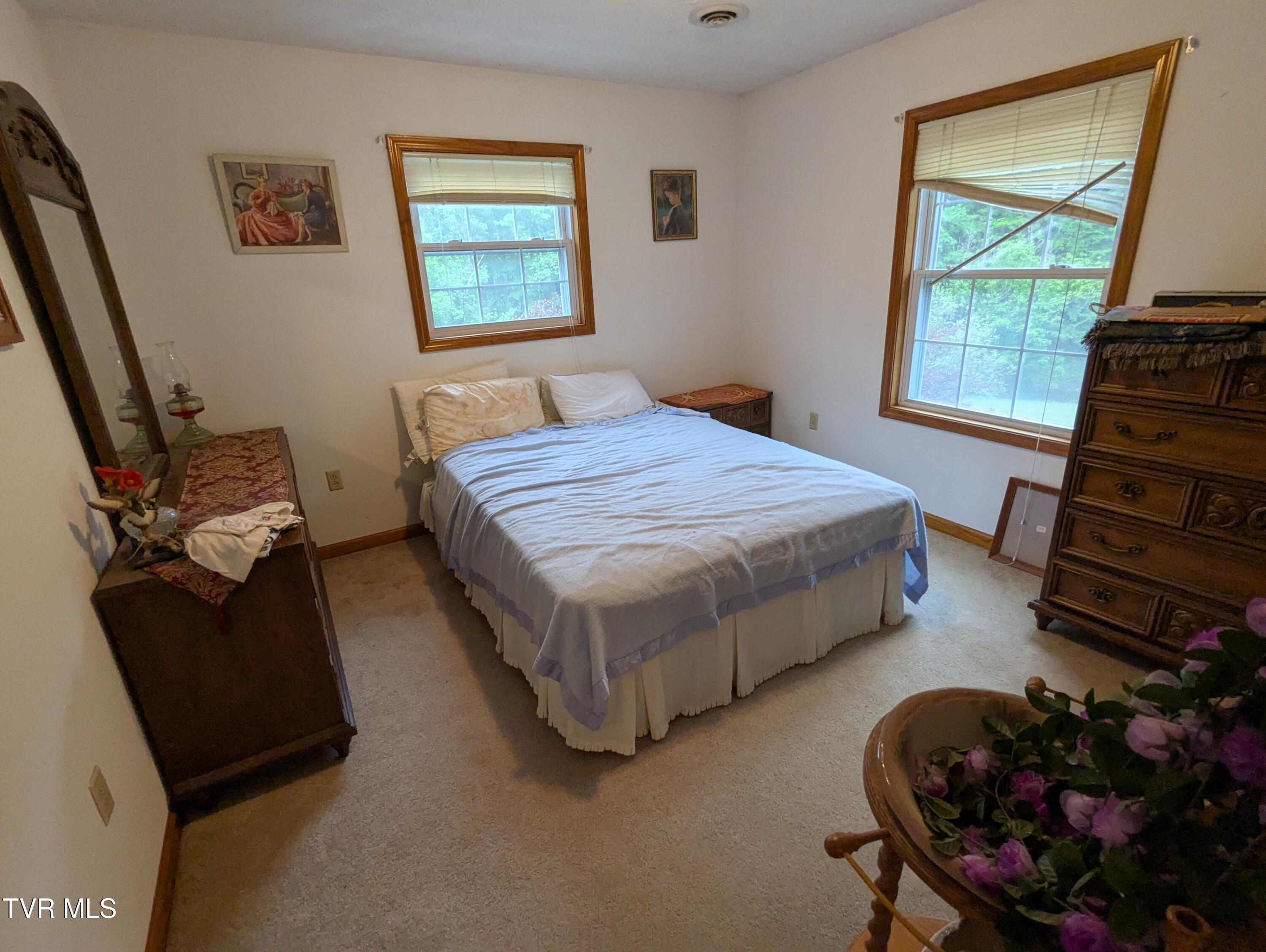 253 Duck Drive, Gate City, Virginia image 27
