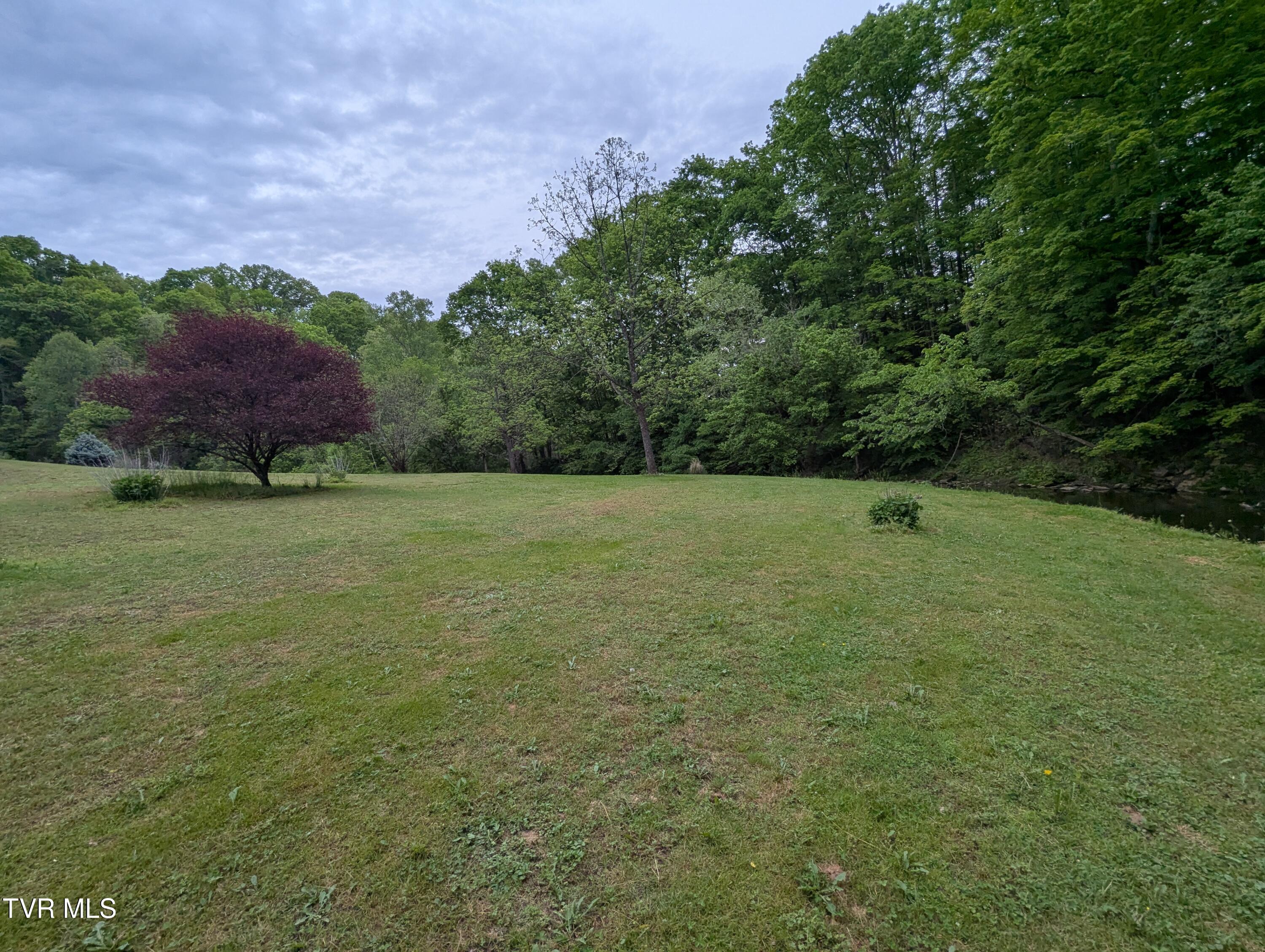 253 Duck Drive, Gate City, Virginia image 15