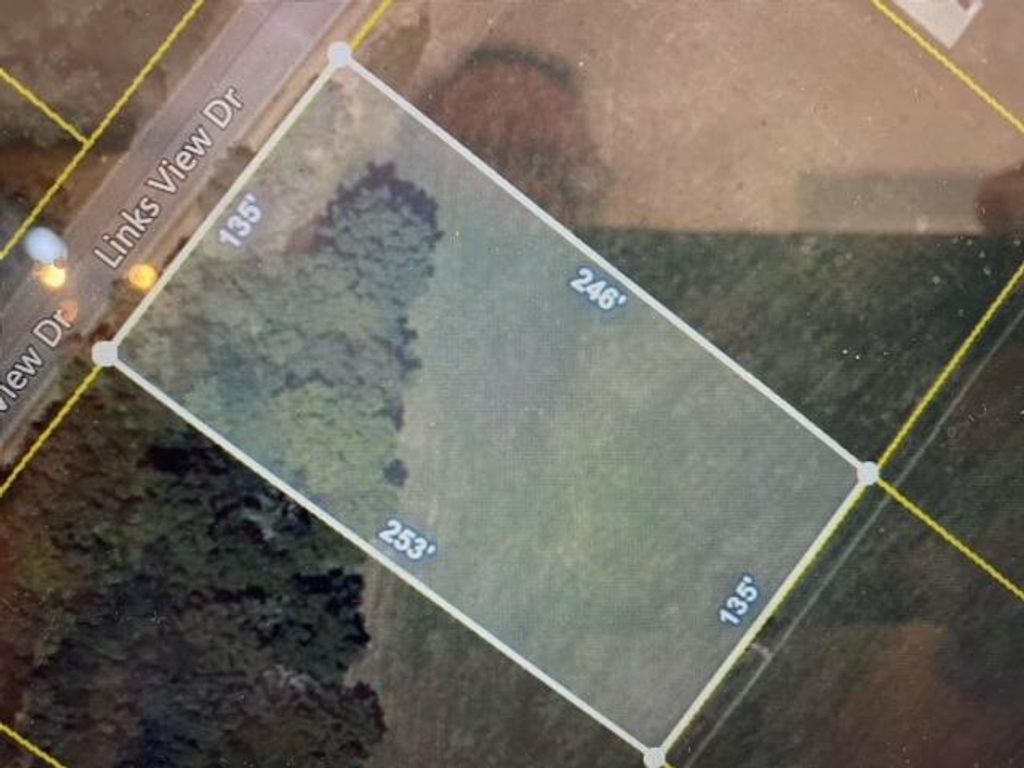 Photo of 80 Links View Dr. Drive, Greeneville, TN 37743 (MLS # 9950025)