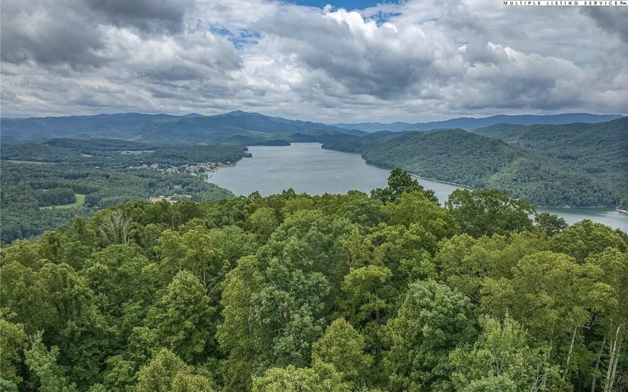 Tbd Lakeview Drive, Butler, Tennessee image 1