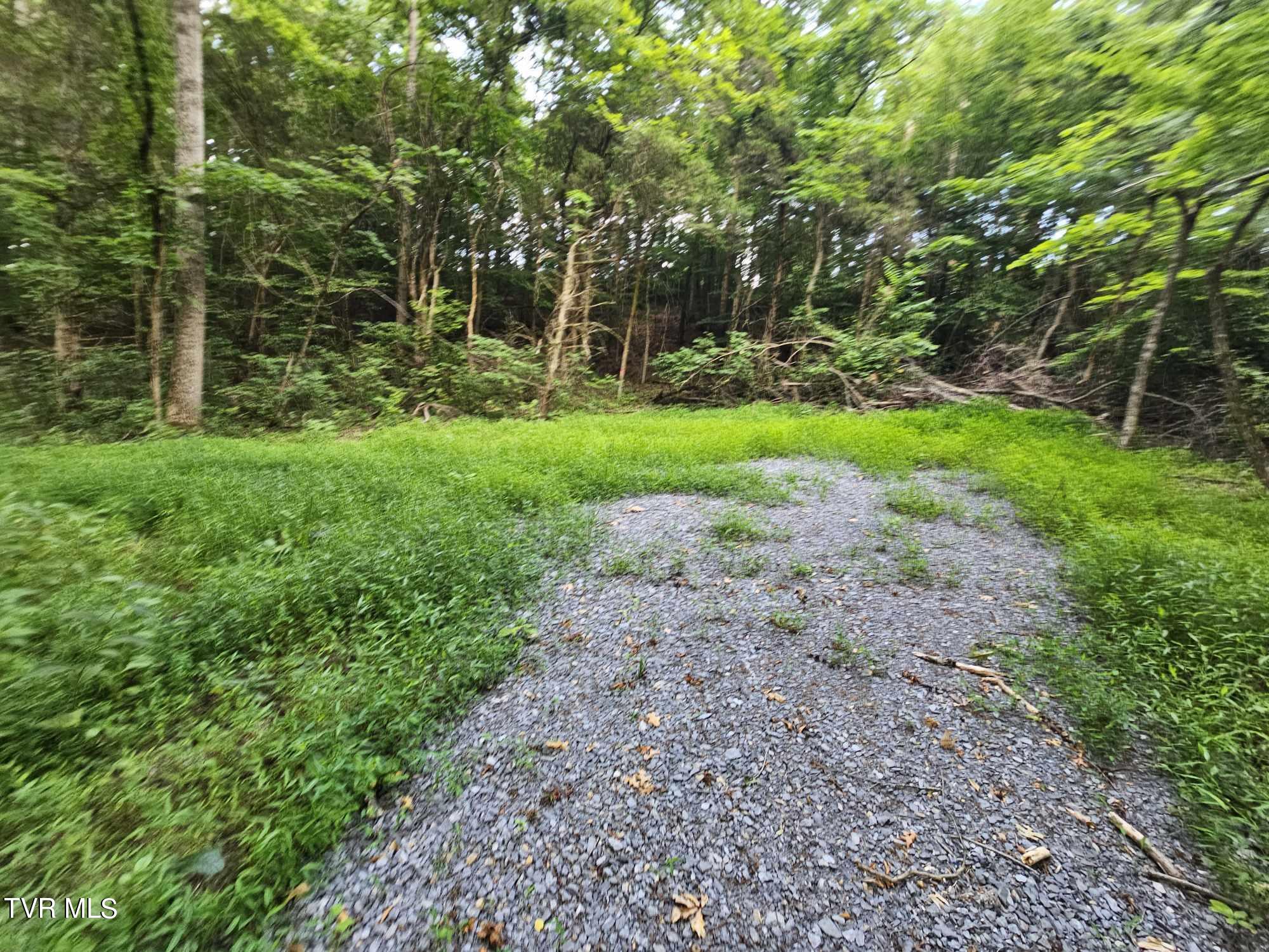 2264 Devault Bridge Road Road, Piney Flats, Tennessee image 7