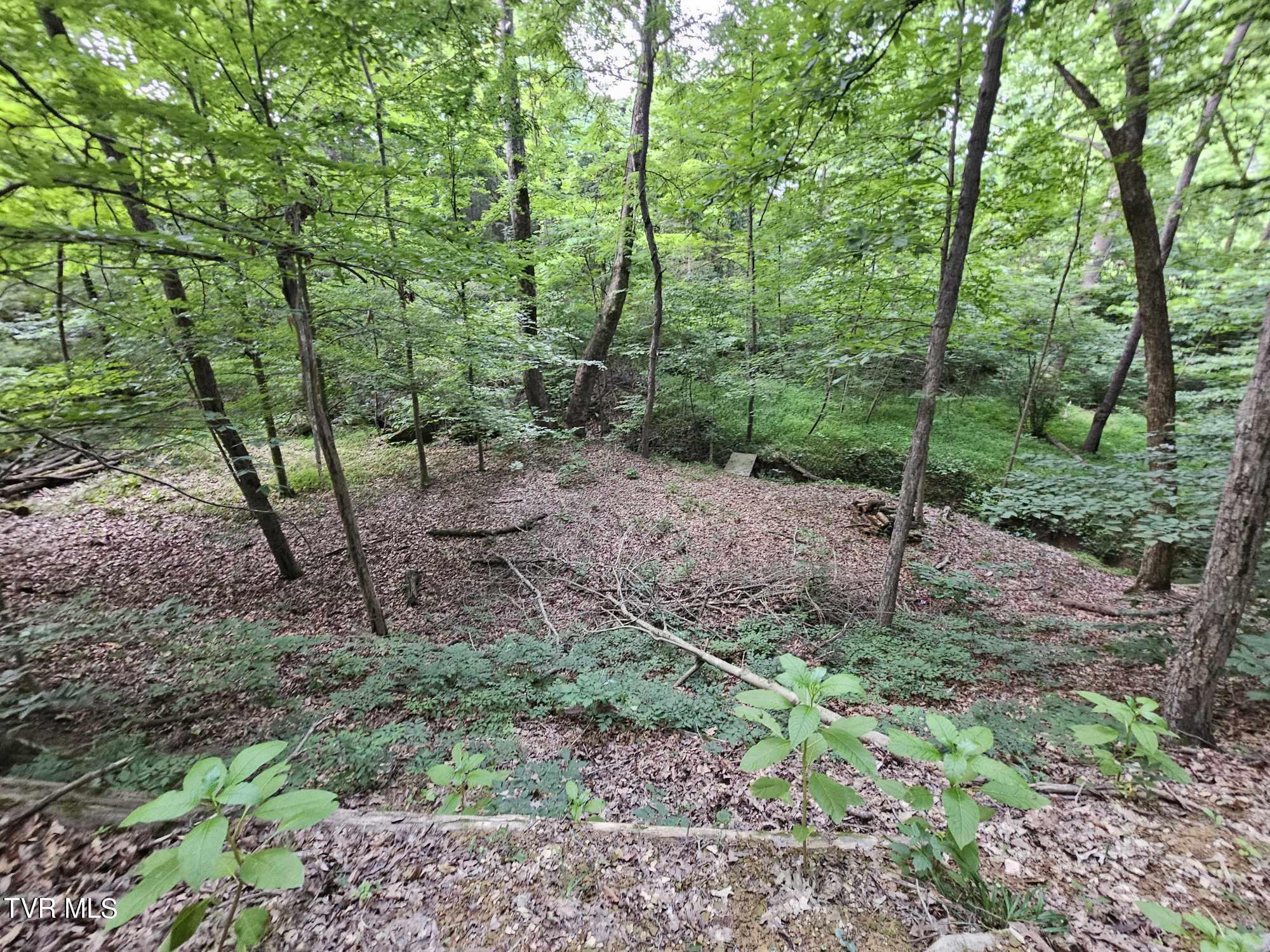 2264 Devault Bridge Road Road, Piney Flats, Tennessee image 20