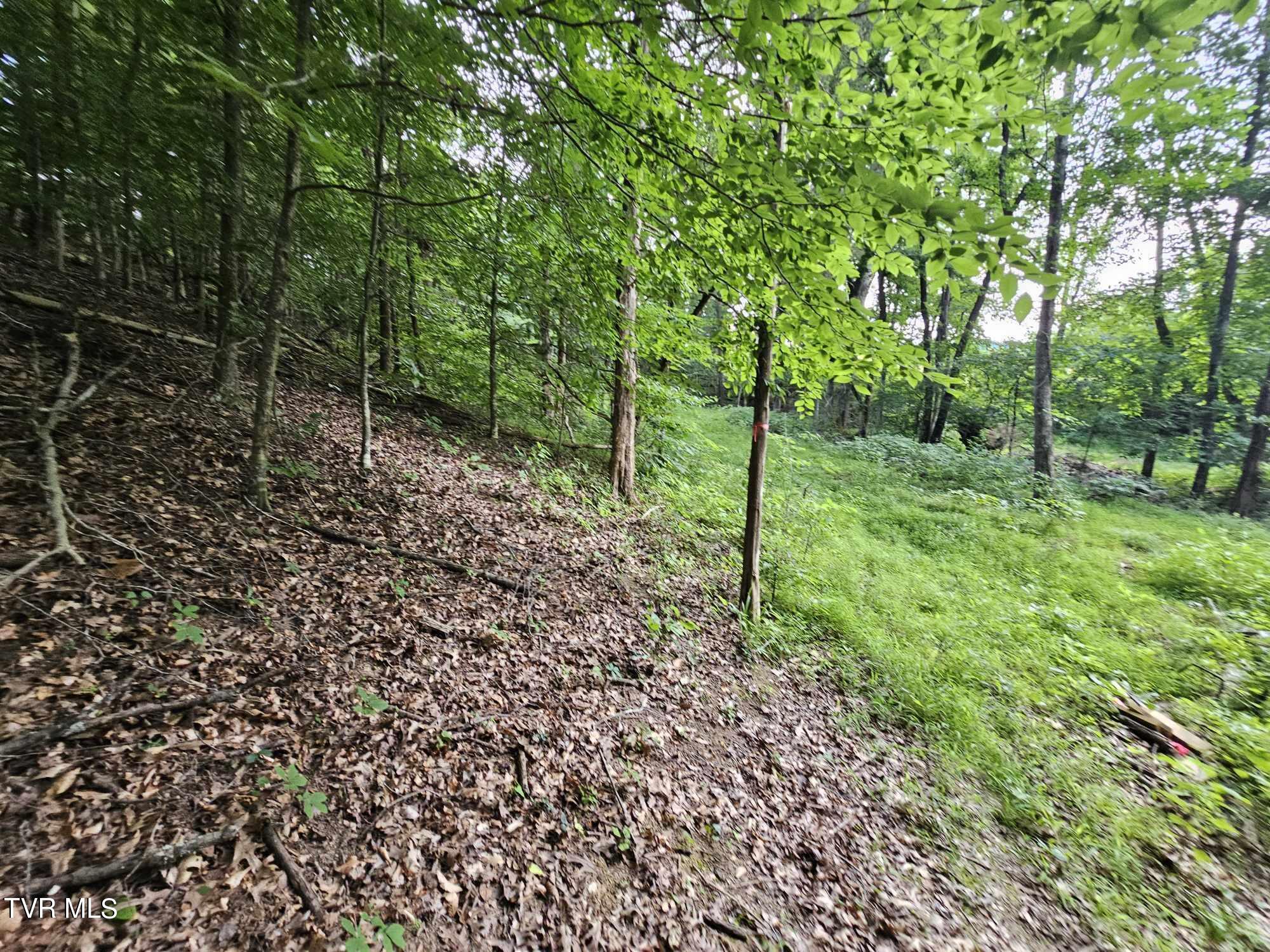 2264 Devault Bridge Road Road, Piney Flats, Tennessee image 14