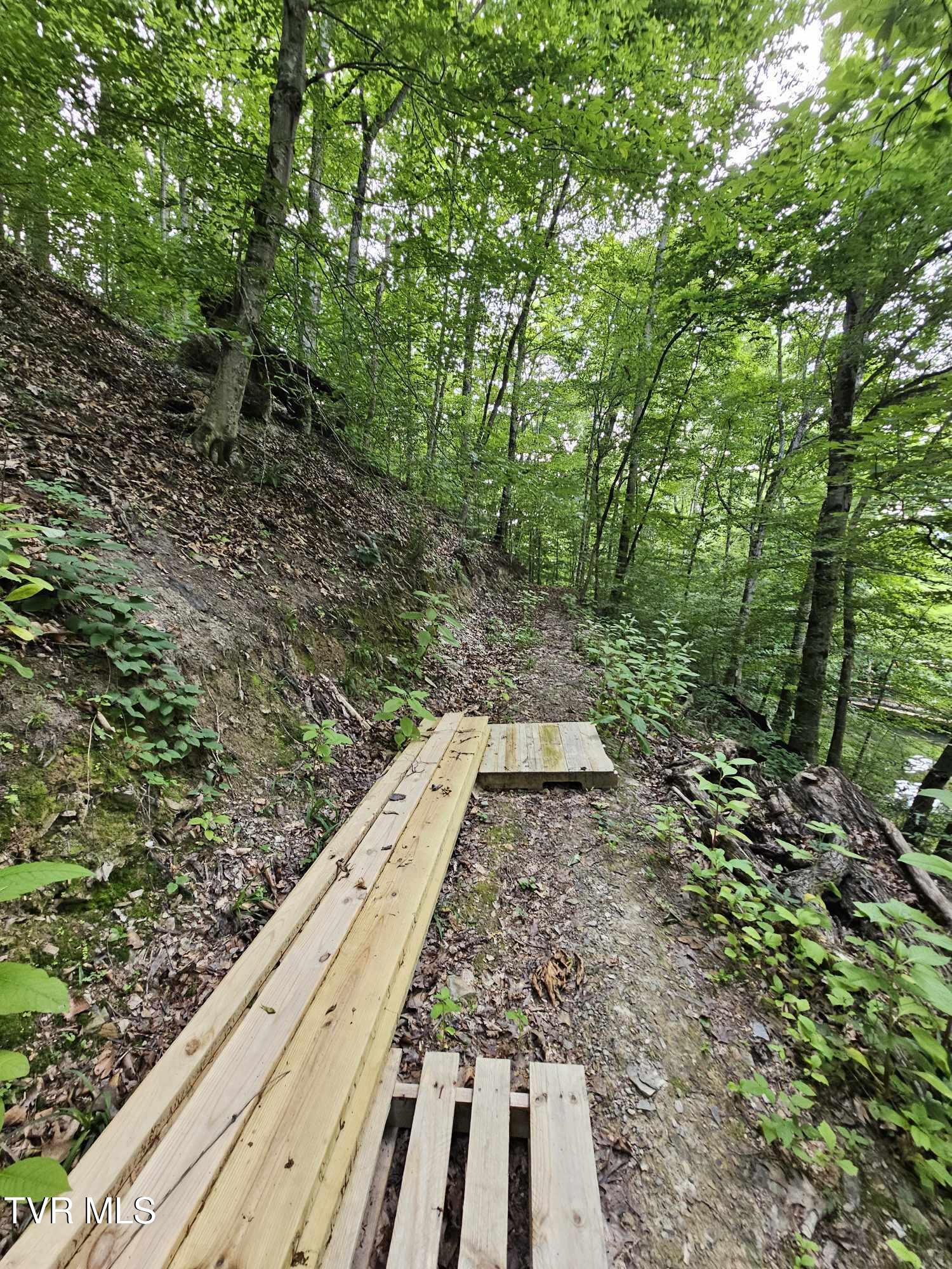 2264 Devault Bridge Road Road, Piney Flats, Tennessee image 4