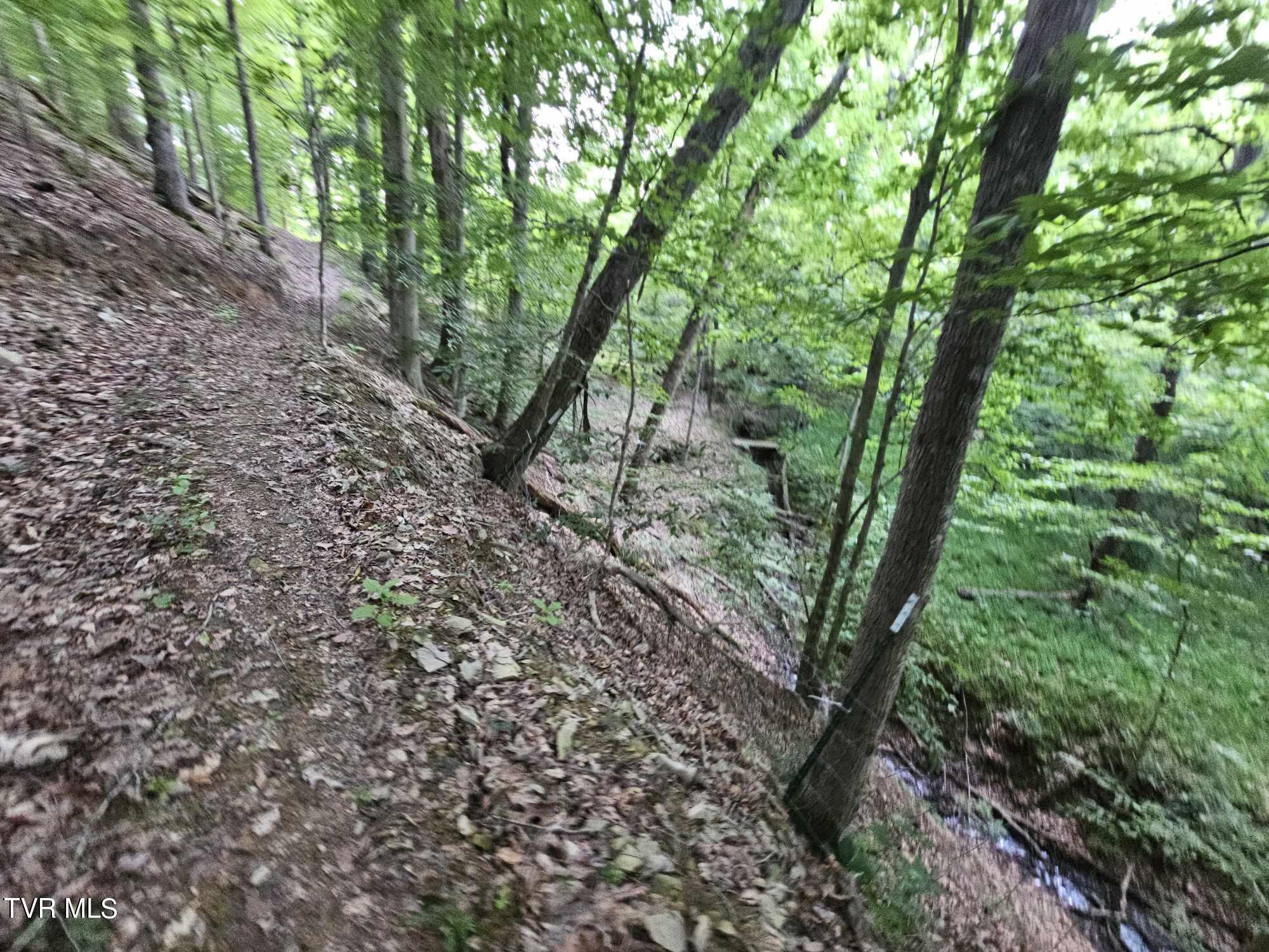 2264 Devault Bridge Road Road, Piney Flats, Tennessee image 29