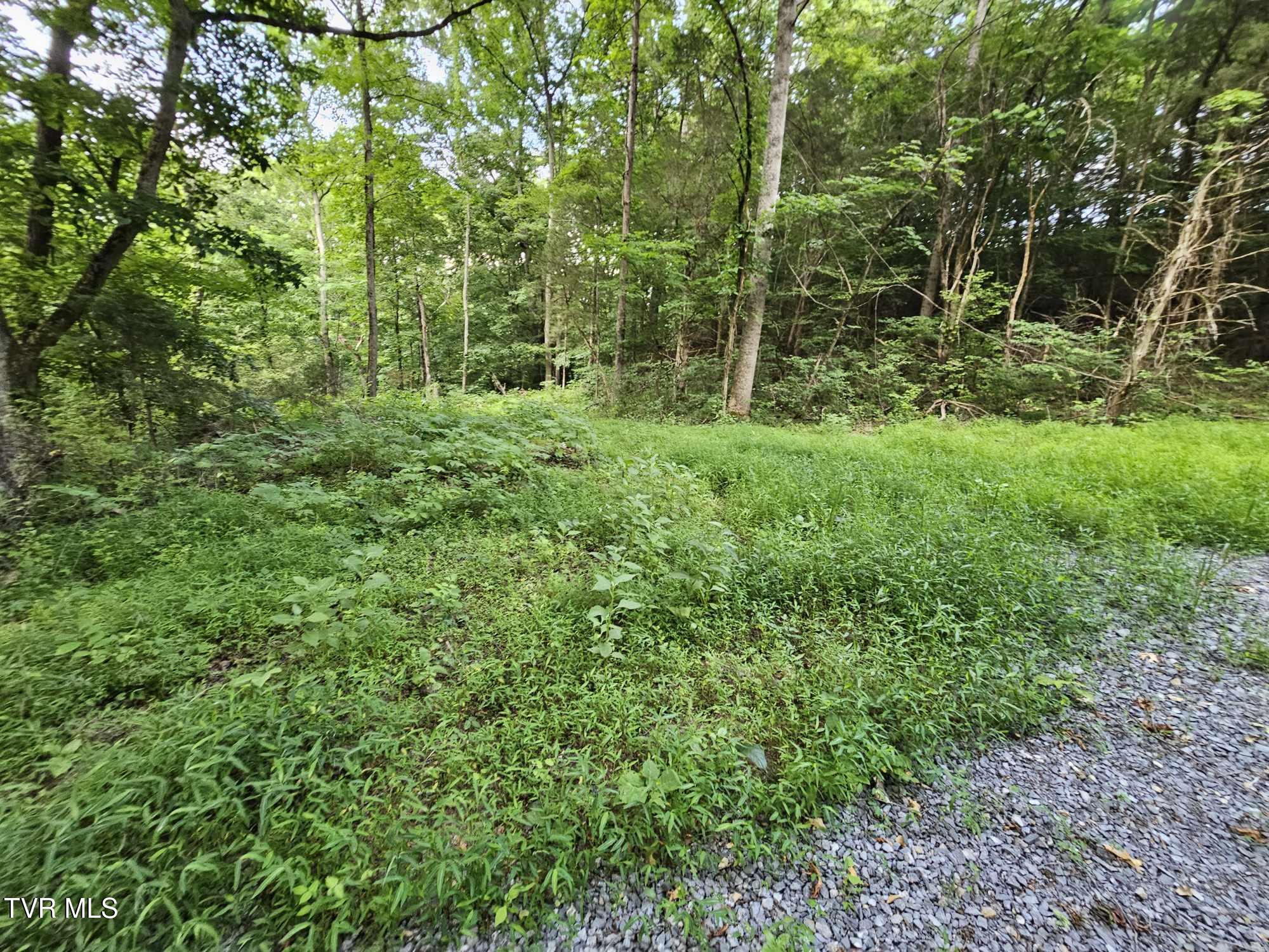 2264 Devault Bridge Road Road, Piney Flats, Tennessee image 2