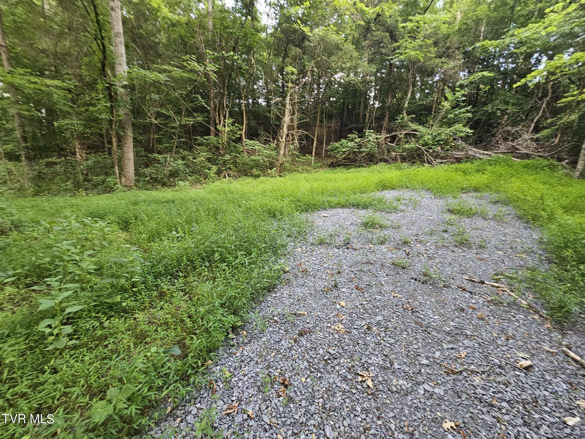 2264 Devault Bridge Road Road, Piney Flats, Tennessee image 9
