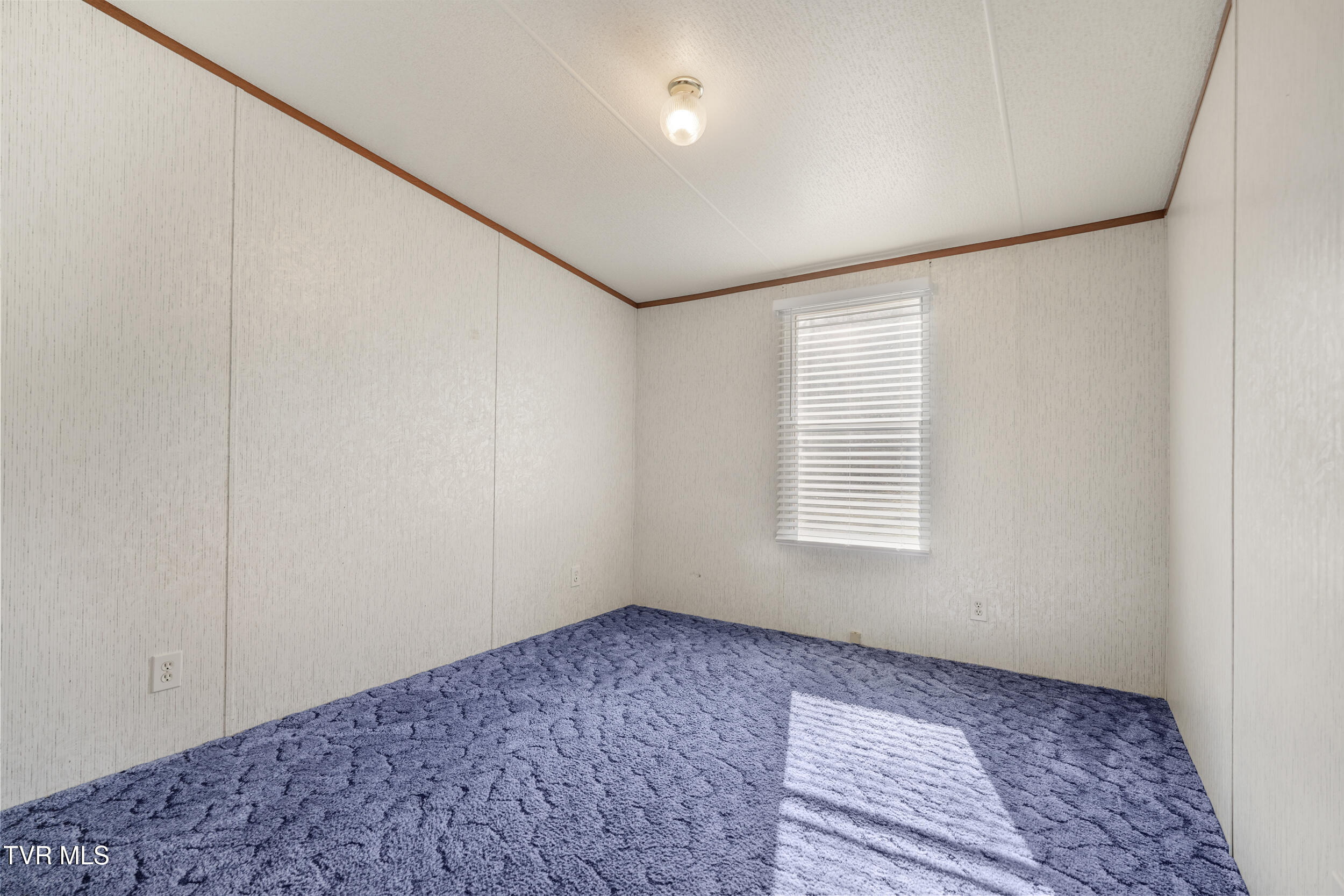 500 Peartree Lane, Elizabethton, Tennessee image 23