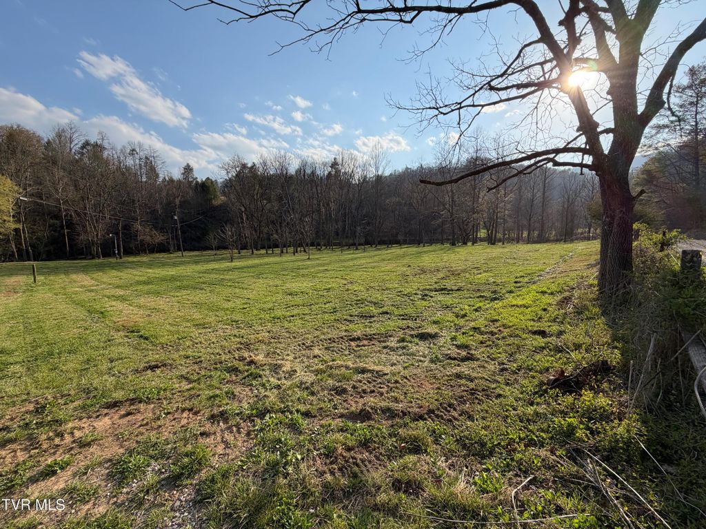 Photo of 1770 Old 15th Road, Del Rio, TN 37727 (MLS # 9993280)