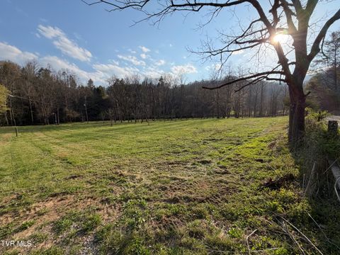 Vacant Land For Sale - 1770 Old 15th Road<br/> Cocke County, Del Rio, TN 37727