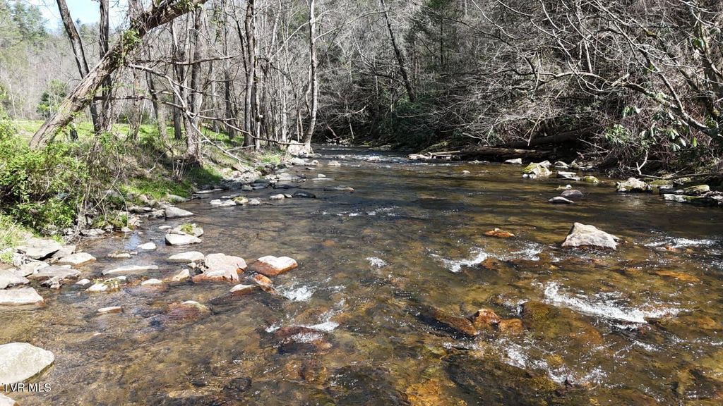 Photo of 1770 Old 15th Road, Del Rio, TN 37727 (MLS # 9993280)