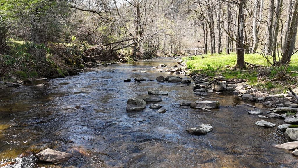 Photo of 1770 Old 15th Road, Del Rio, TN 37727 (MLS # 9993280)