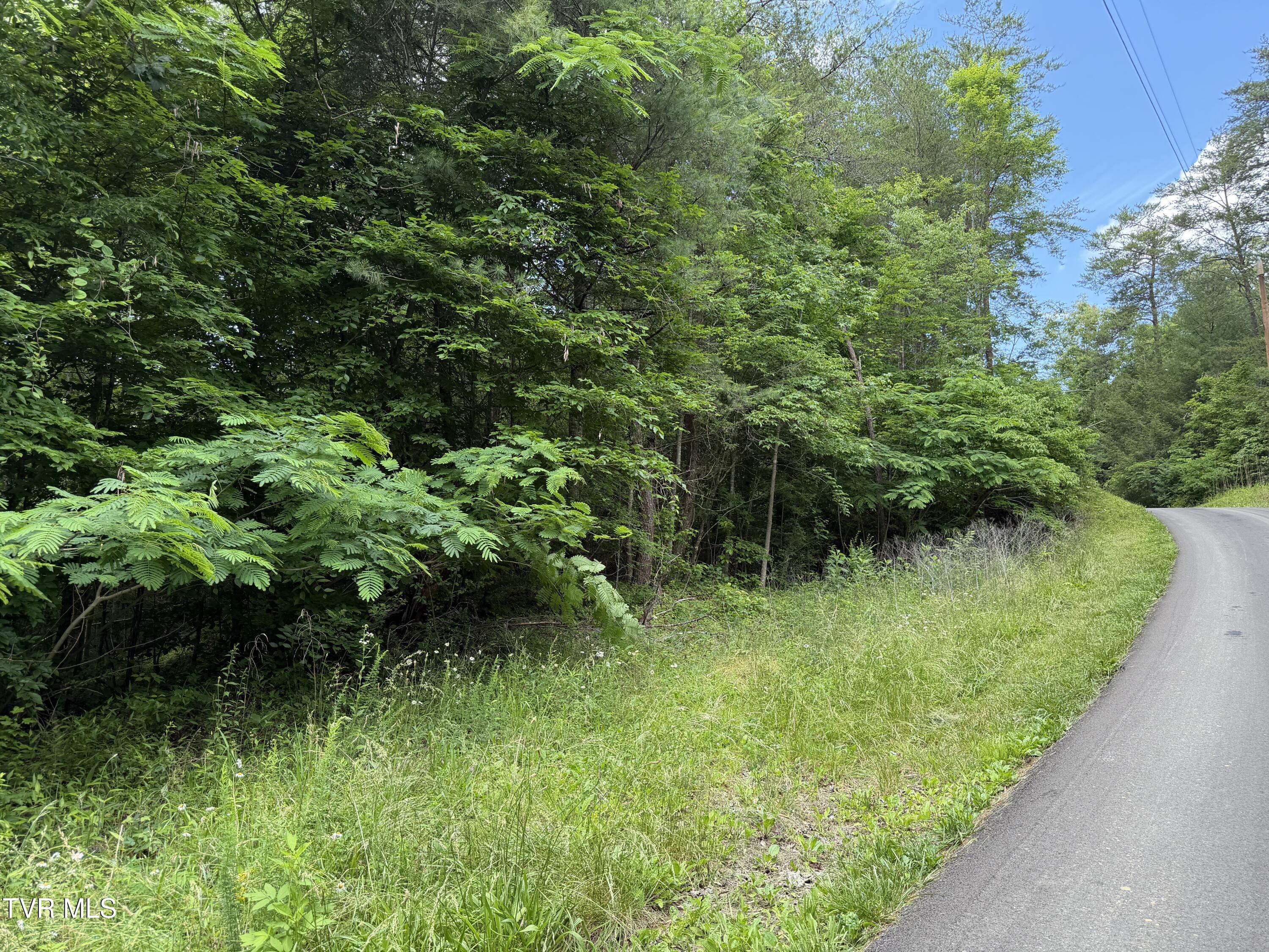 IMG_8321