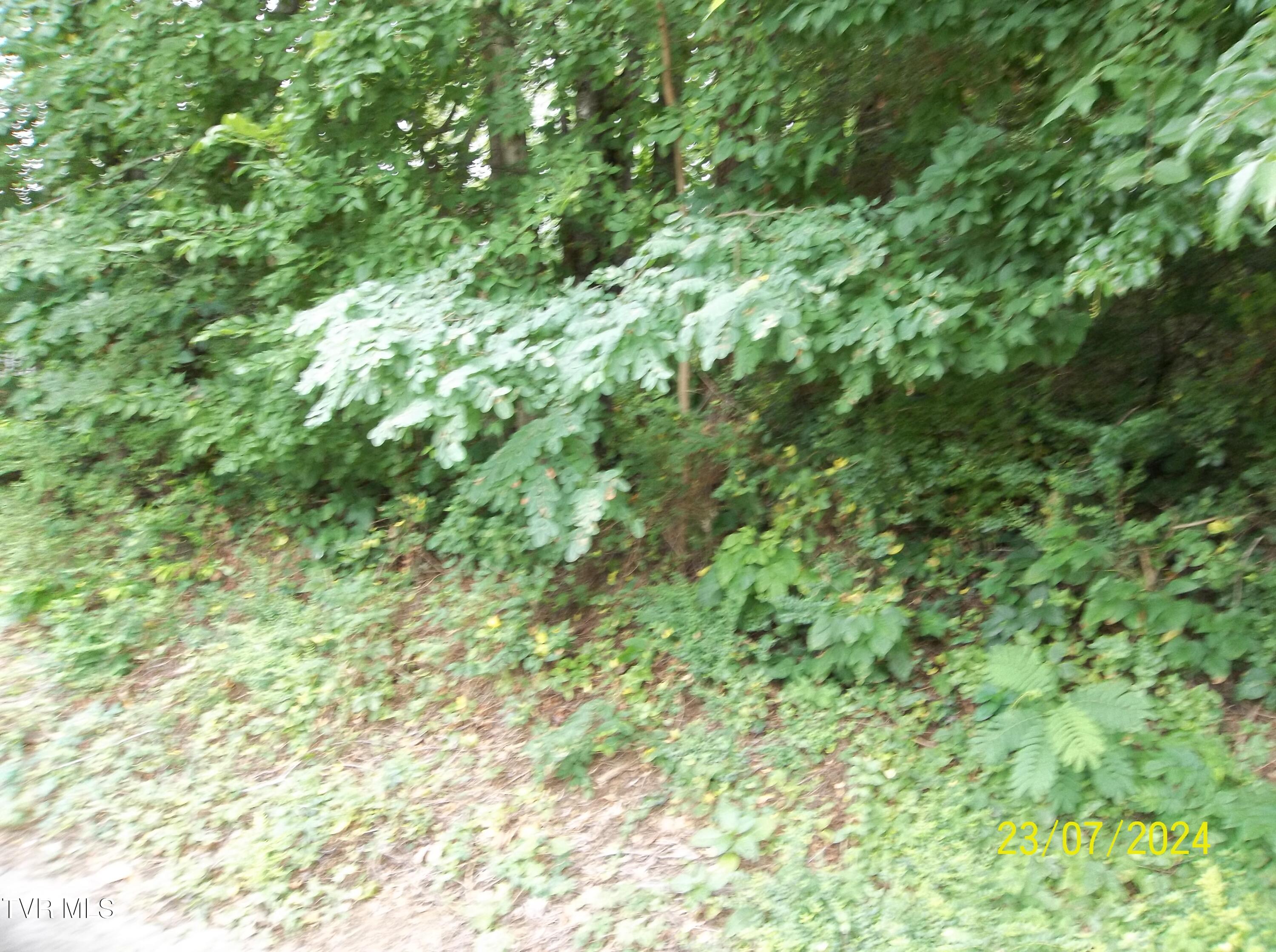 00 Bays View Road, Kingsport, Tennessee image 1