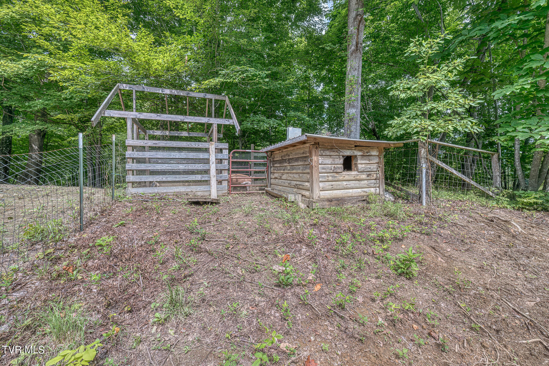 160 Conley Stevens Road, Roan Mountain, Tennessee image 37